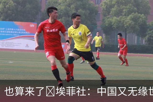 也算来了😅埃菲社：中国又无缘世界杯，但中国企业深度参与其中